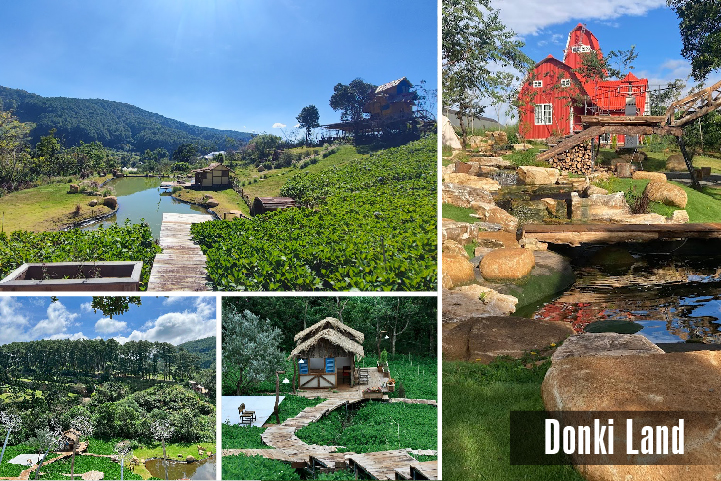 donki-land-01.jpg