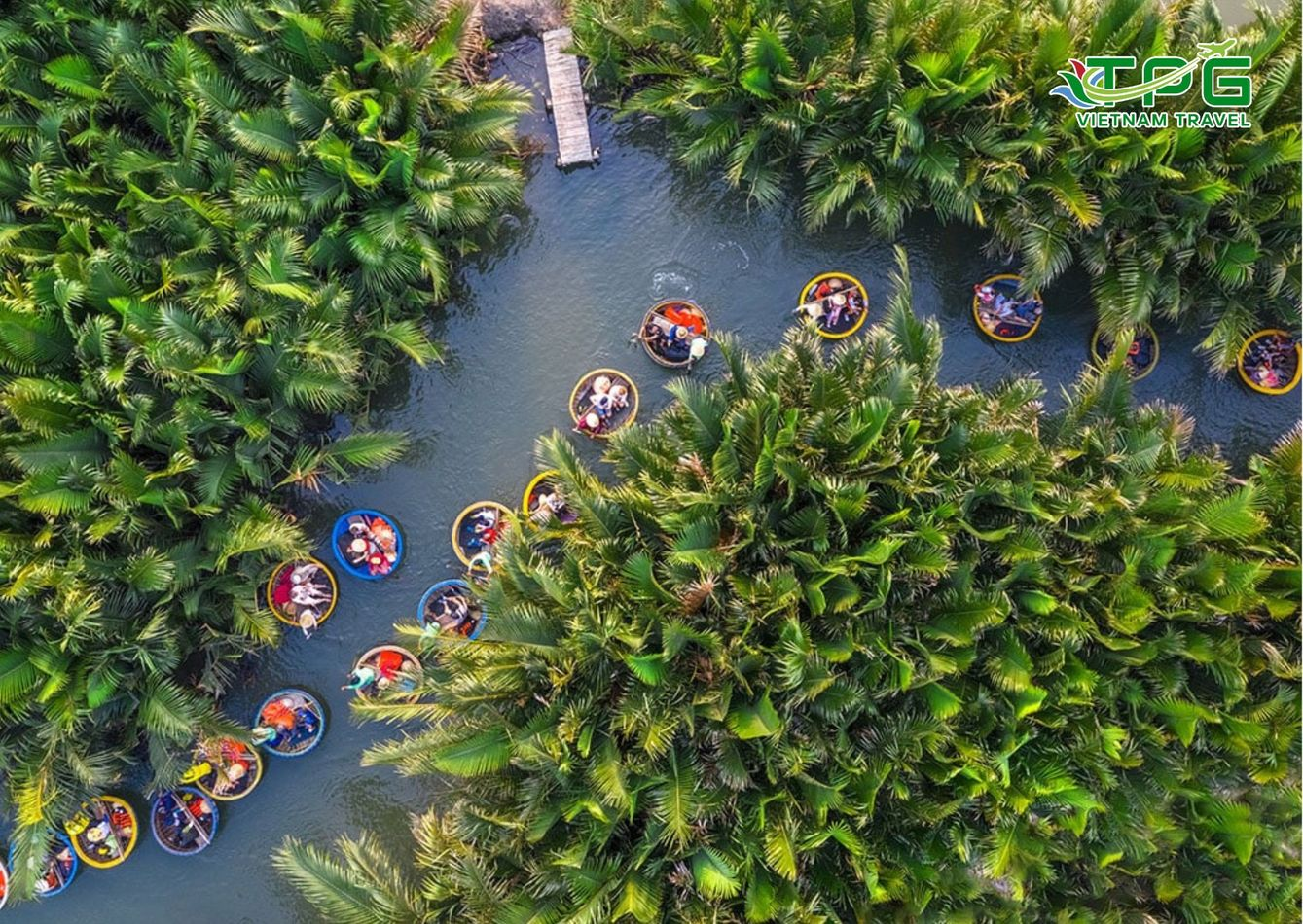 hình ảnh_2024-11-11_201124097